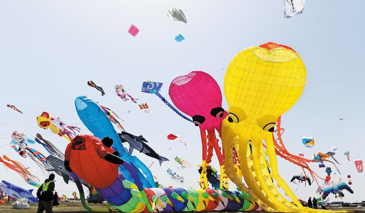 International Kite Day